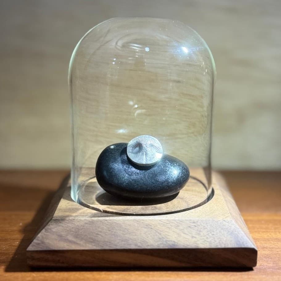 Premium 3D pet nose print legacy display