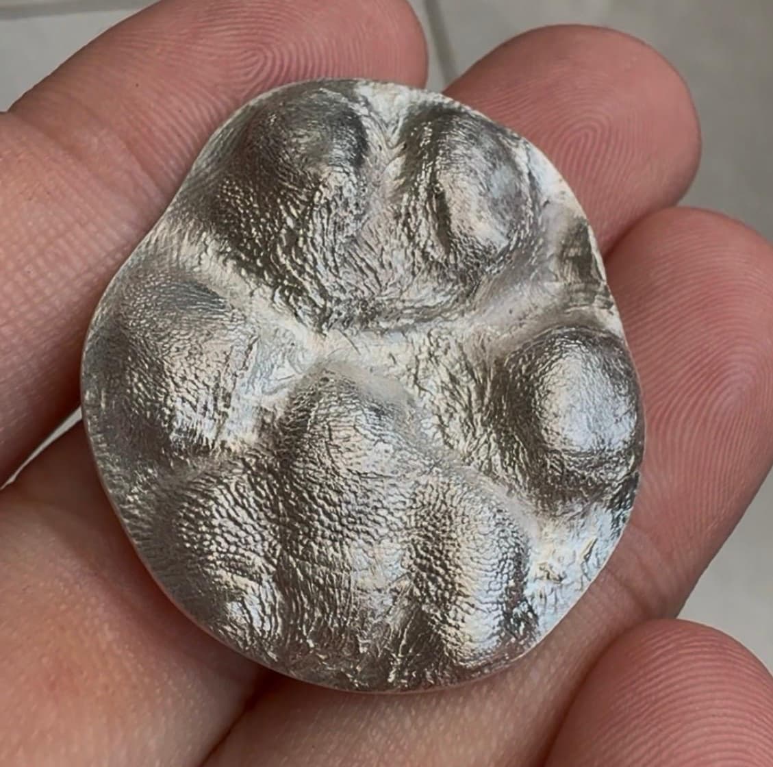 True-to-size 999 fine silver paw-print of a furkid