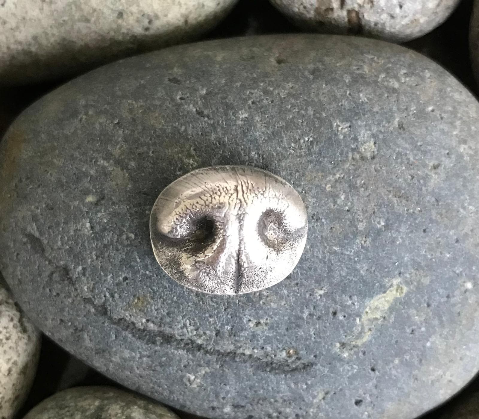 Dog Nose Print Desktop Keepsake photo 4