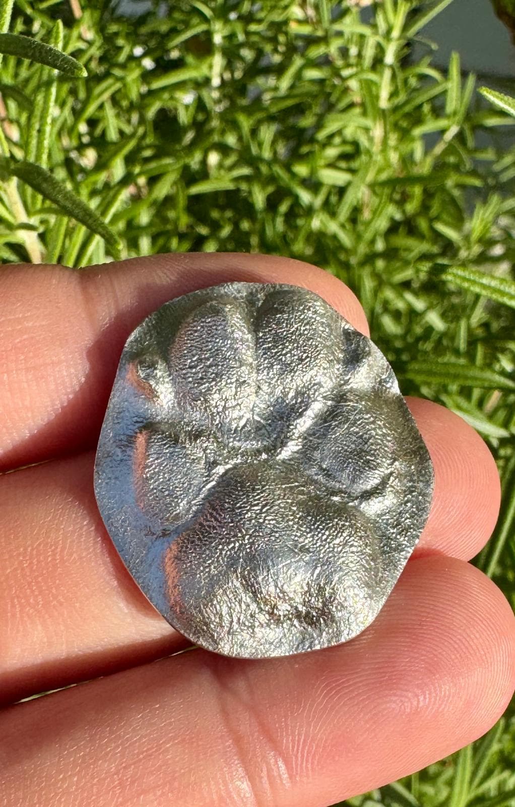 Dog Paw Print Desktop Keepsake