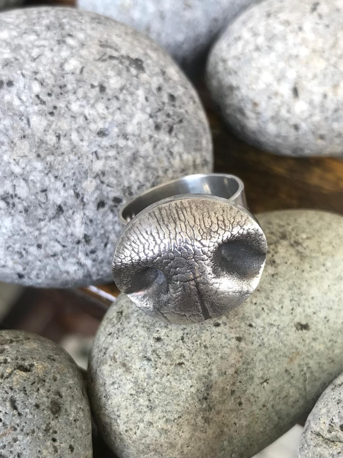Nose Print Signet Ring photo 2